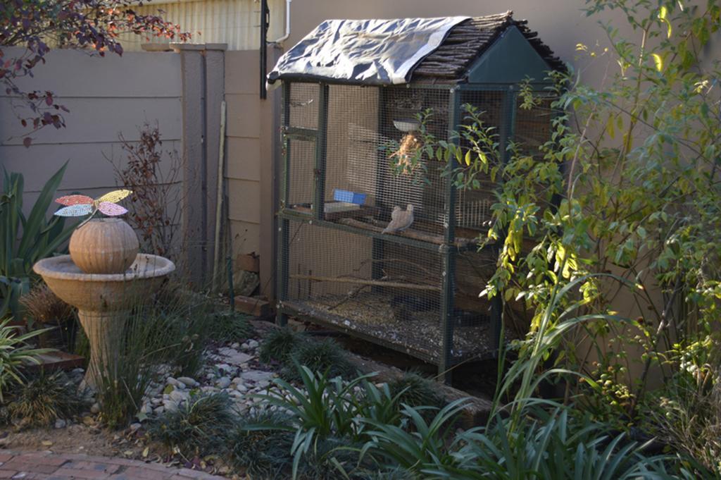 Two Bells Guest House Bloemfontein Exterior foto